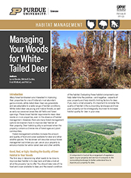 Managing Your Woods for White-Tailed Deer