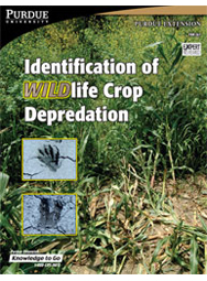 Identification of WILDlife Crop Depredation