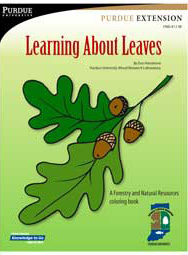 Learning About Leaves: A Forestry and Natural Resources Coloring Book