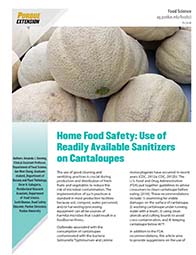 Home Food Safety: Use of Readily Available Sanitizers on Cantaloupes
