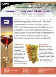 Commercial Winemaking Production Series: Traminette Vineyard Management