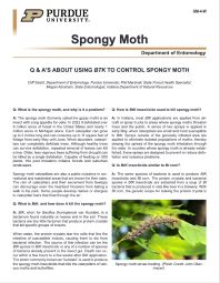Q&A's About Using BtK to Control Gypsy Moth