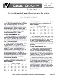 Drying Wheat to Prevent Spoilage and Sprouting