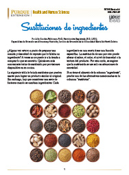 Ingredient Substitutions (Spanish)