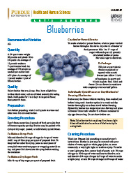 Let's Preserve: Blueberries