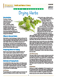 Let's Preserve: Drying Herbs