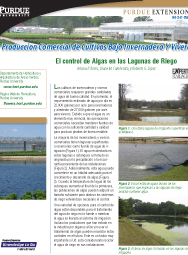Produccion Comercial de Cultivos Bajo Invernadero Y Viveros: El control de Algas en las Lagunas de Riego