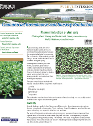 Commercial Greenhouse and Nursery Production: Flower Induction of Annuals