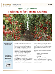 Vegetable Grafting: Techniques for Tomato Grafting