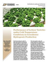 Performance of Lettuce Varieties under Cold Temperature Conditions in Greenhouse Hydroponic Production