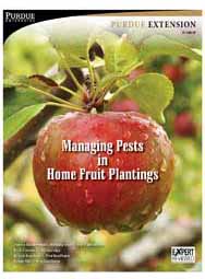Managing Pests in Home Fruit Plantings