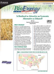 Is Biodiesel as Attractive an Economic Alternative as Ethanol?