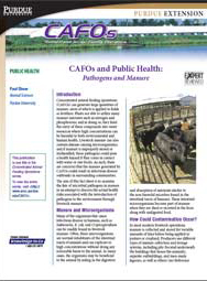 CAFOs and Public Health: Pathogens and Manure