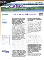 MRSA and Livestock