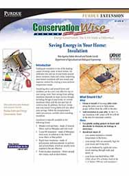 Saving Energy in Your Home: Insulation
