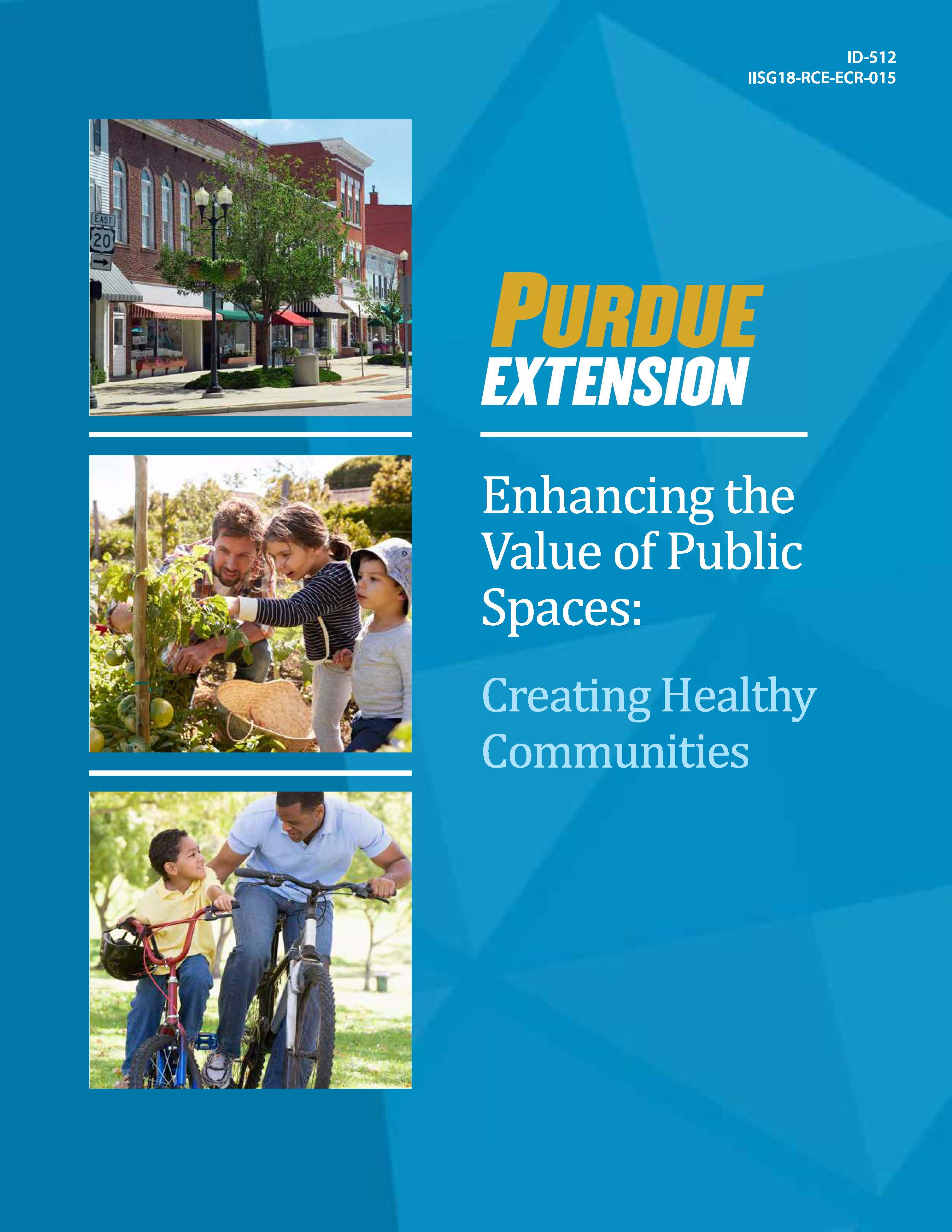 Enhancing the Value of Public Spaces:  Creating Healthy Communities 