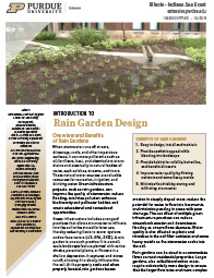 Introduction to Rain Garden Design