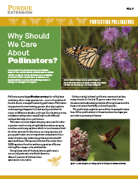 Protecting Pollinators: Why Should We Care About Pollinators?
