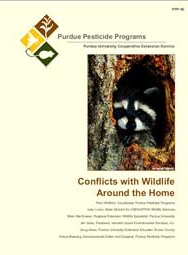 Conflicts with Wildlife Around the Home