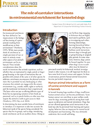 Role of Caretaker Interactions in Environmental Enrichment for Kenneled Dogs 