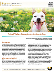 Animal Welfare Concepts: Applications to Dogs