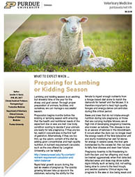 What to Expect When: Preparing for Lambing or Kidding Season