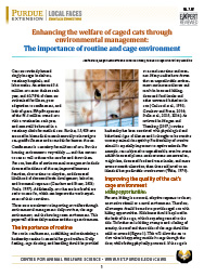 Caged cats — Importance of routine and cage environment