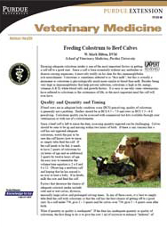 Feeding Colostrum to Beef Calves