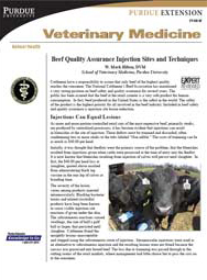 Beef Quality Assurance Injection Sites and Techniques