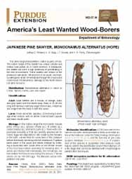 America's Least Wanted Wood-Borers: Japanese Pine Sawyer, Monochamus alternatus (Hope)