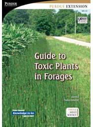 Guide to Toxic Plants in Forages