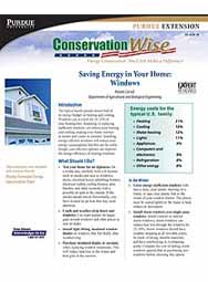 Saving Energy in Your Home: Windows